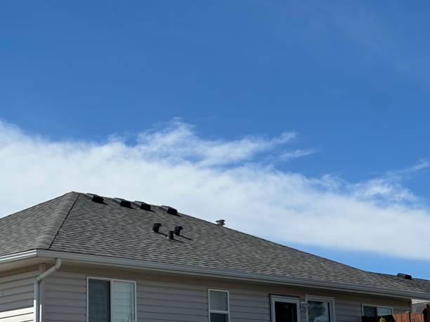 Best Roof Ventilation Installation  in Byron, CA